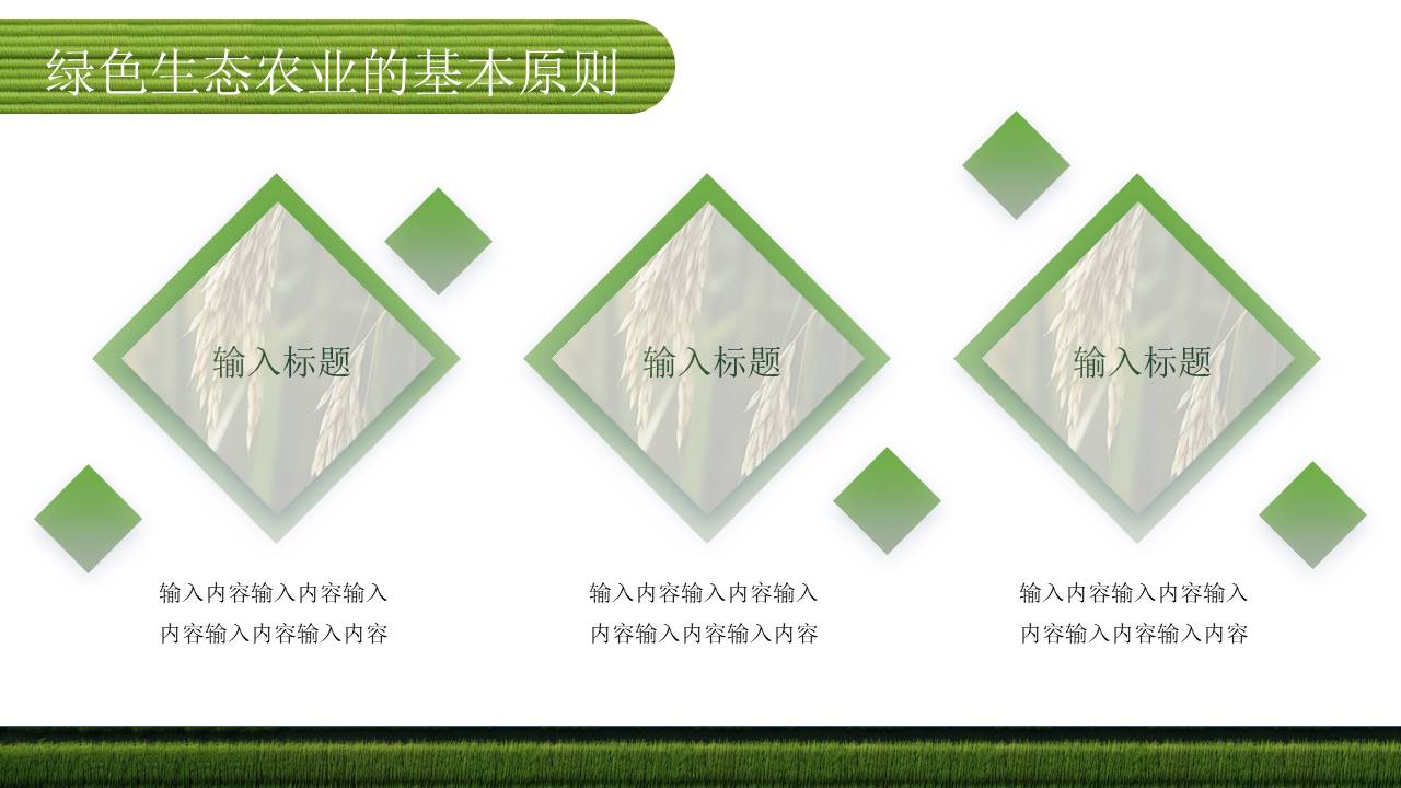 农业 (22).pptx